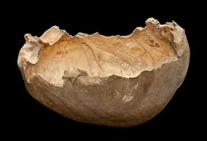 Skull cup found at Gough's Cave, now on display at the Natural History Museum.