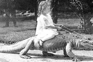 Girl on crocodile