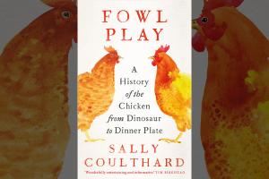 Sally Coulthard Fowl Play