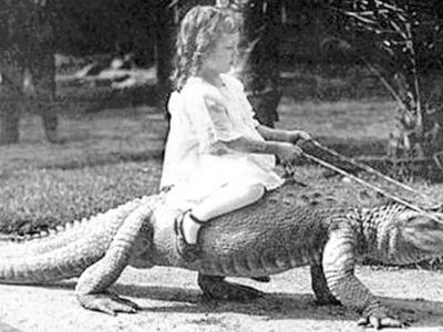 Girl on crocodile