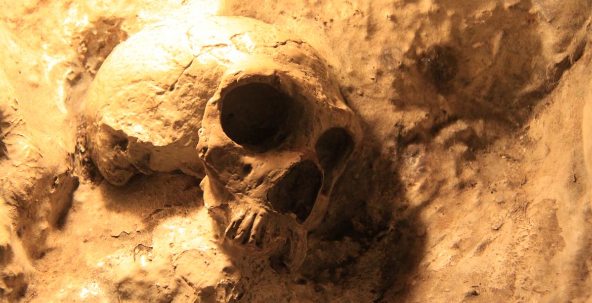 Replica of Neanderthal Skull in St. Michaels Cave, Gibraltar